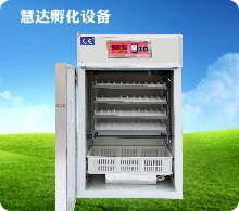 慧達(dá)352枚小型孵化機(jī)