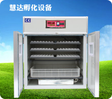 慧達(dá)528枚小型孵化機(jī)
