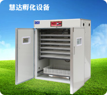 慧達(dá)1056枚小型孵化機(jī)