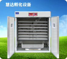 慧達(dá)1232枚小型孵化機(jī)